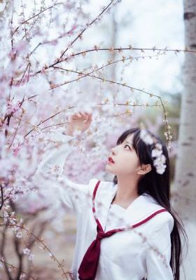中文字幕二区在线观看